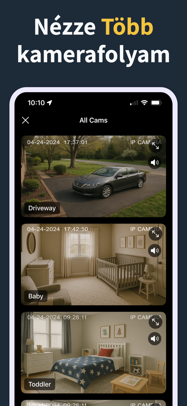 IP Camera Viewer app screenshot