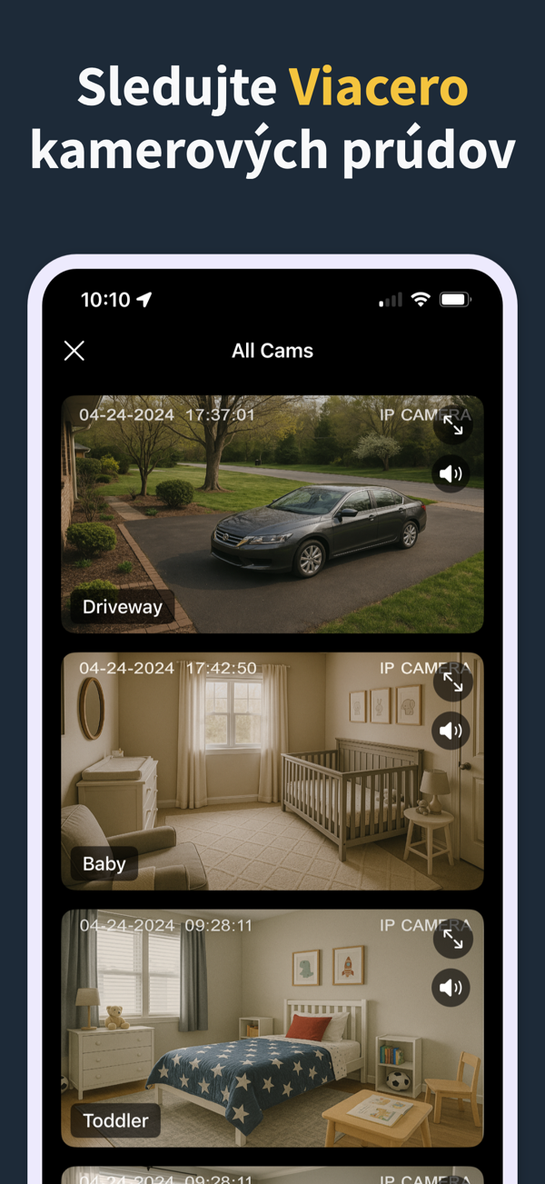 IP Camera Viewer app screenshot